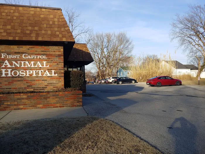 First Capitol Animal Hospital LLC Picture 10