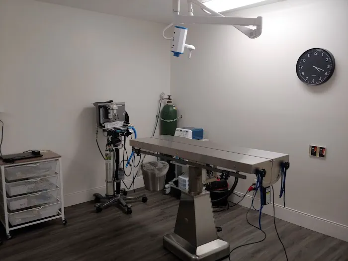 First Capitol Animal Hospital LLC Picture 7