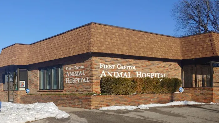 First Capitol Animal Hospital LLC Picture 8