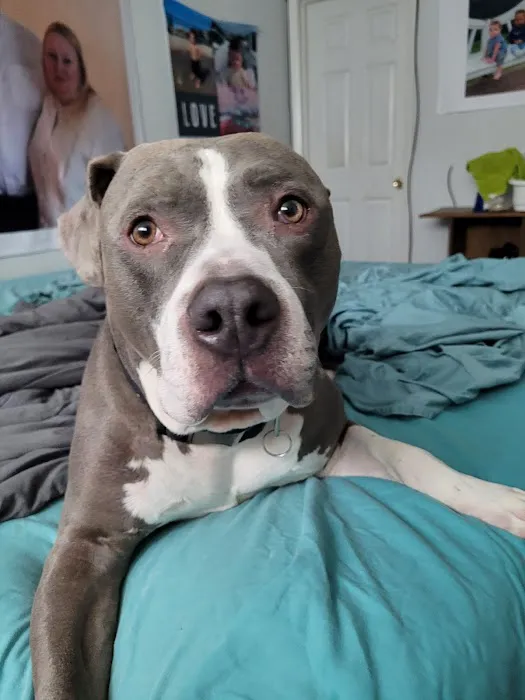 Willowbrook Veterinary Clinic Picture 1