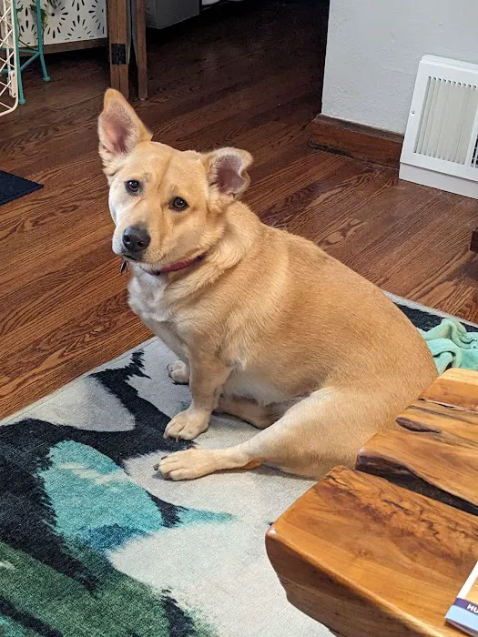 Willowbrook Veterinary Clinic Picture 4