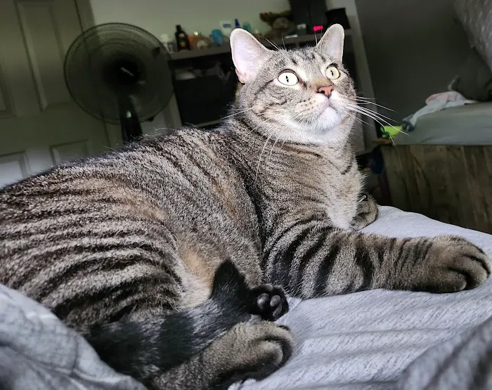 Willowbrook Veterinary Clinic Picture 3