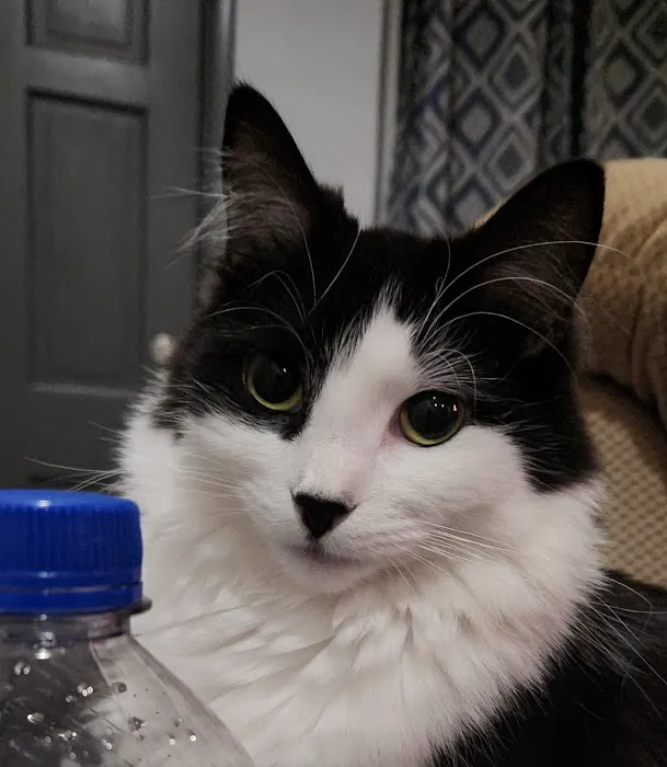 Willowbrook Veterinary Clinic Picture 2