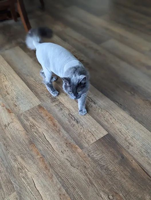 Willowbrook Veterinary Clinic Picture 6