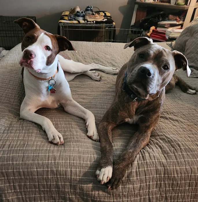 Willowbrook Veterinary Clinic Picture 5