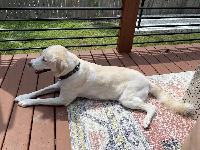 Willowbrook Veterinary Clinic Picture 7