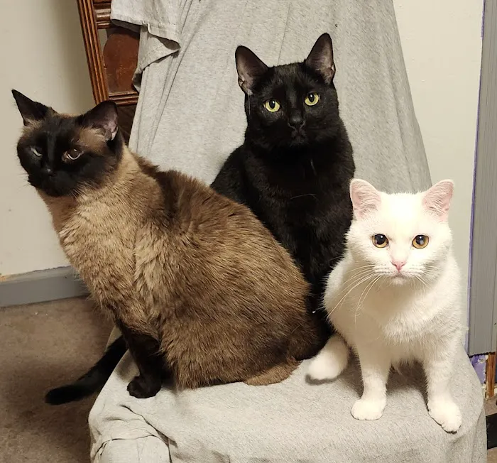 Willowbrook Veterinary Clinic Picture 10