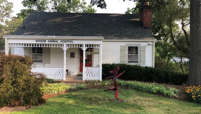 Spoede Animal Hospital Picture 2