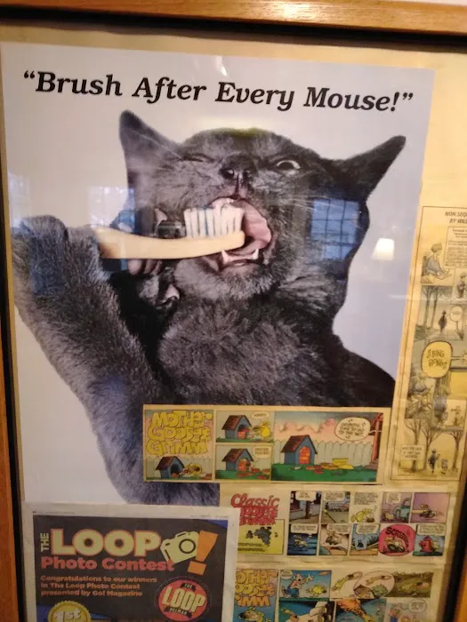 Spoede Animal Hospital Picture 4