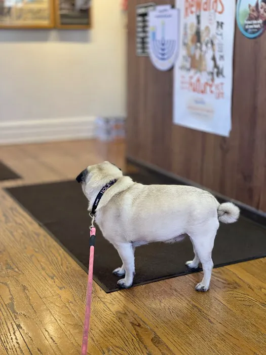 Spoede Animal Hospital Picture 3