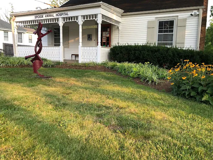 Spoede Animal Hospital Picture 8