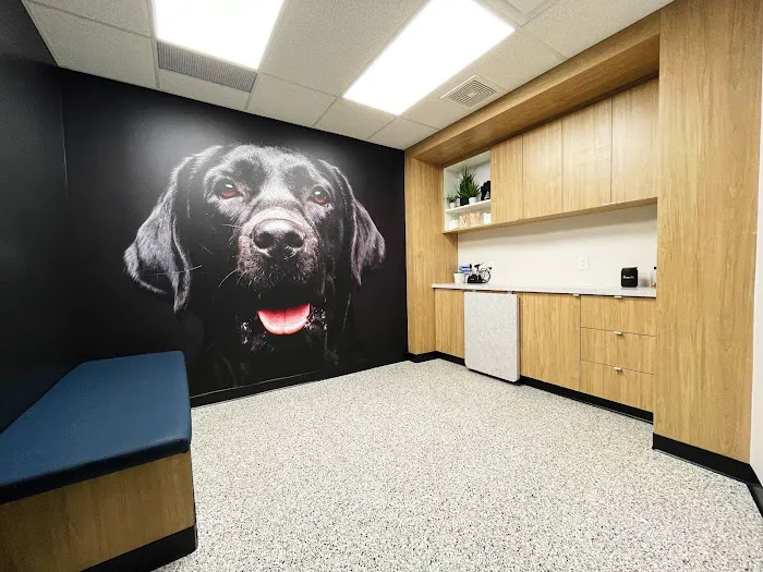 MetroVet St. Louis Picture 3