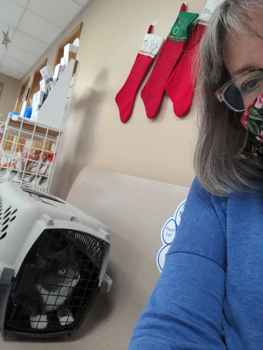 The Veterinary Clinic PC Picture 6