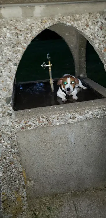 The Veterinary Clinic PC Picture 5