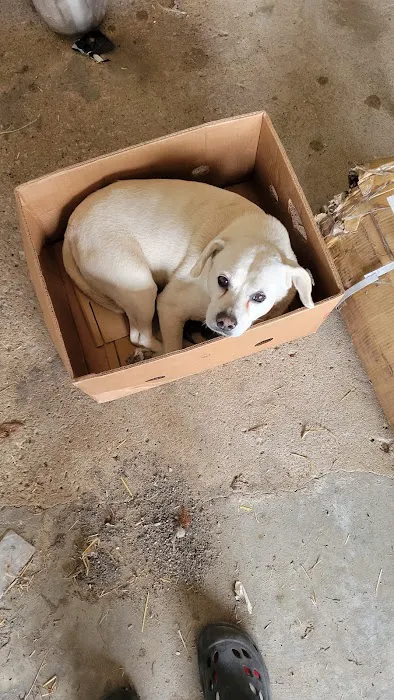 Kahoka Veterinary Clinic Picture 5