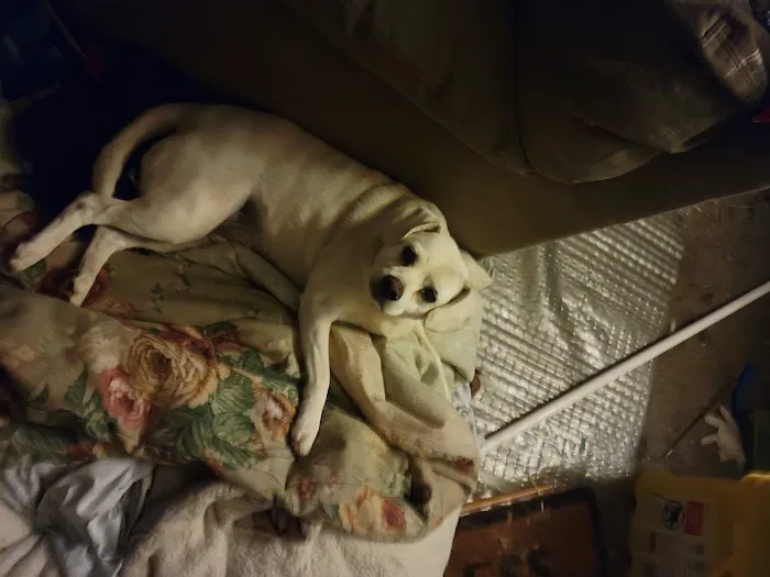 Kahoka Veterinary Clinic Picture 3