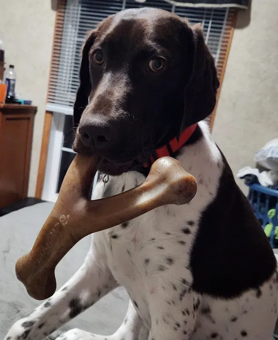 Kahoka Veterinary Clinic Picture 4