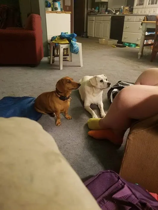 Kahoka Veterinary Clinic Picture 6