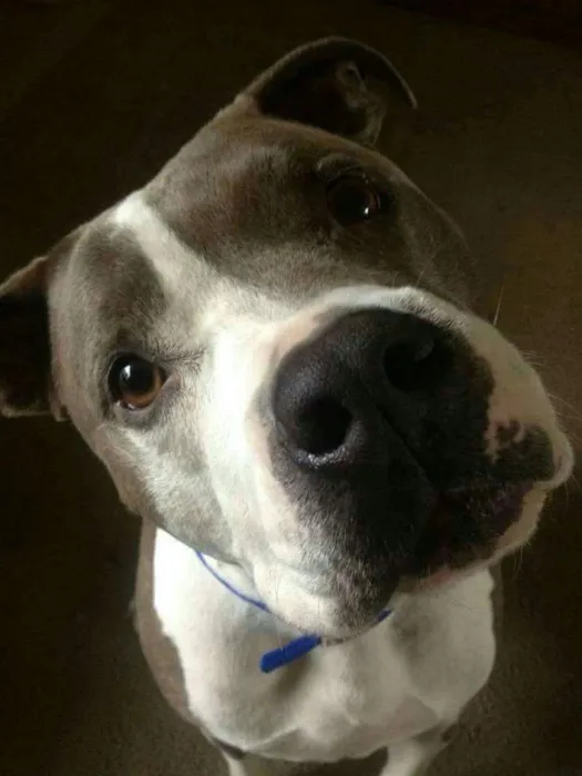 Kahoka Veterinary Clinic Picture 7