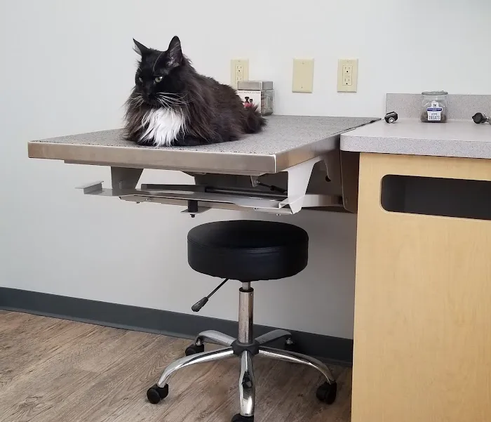 Silver Spring Animal Wellness Center Picture 1