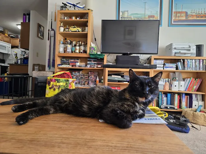 Good Land Veterinary Clinic Picture 1