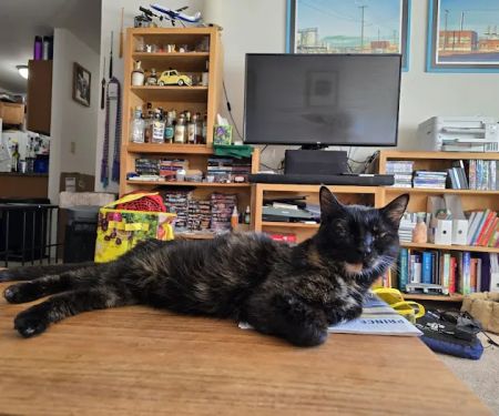 Good Land Veterinary Clinic