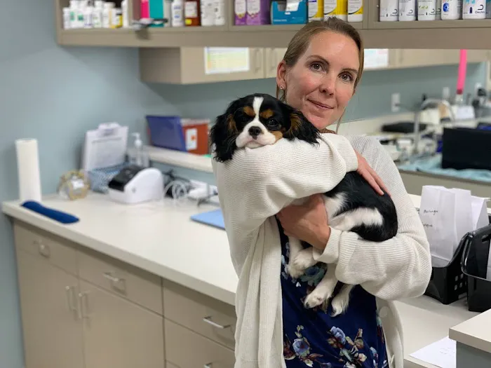 Good Land Veterinary Clinic Picture 6