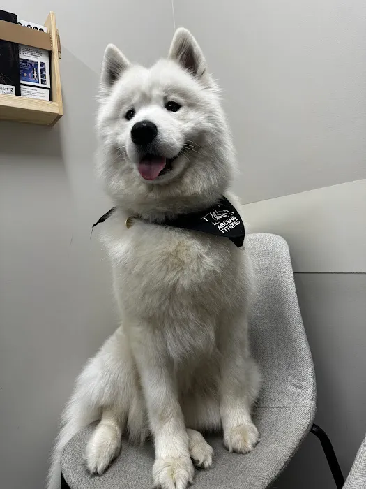 Good Land Veterinary Clinic Picture 9