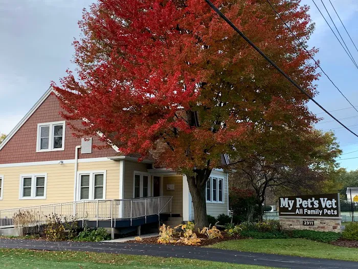 My Pet's Vet Picture 7