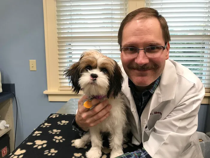 My Pet's Vet Picture 10