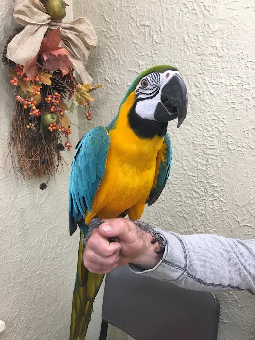 My Pet's Vet Picture 8