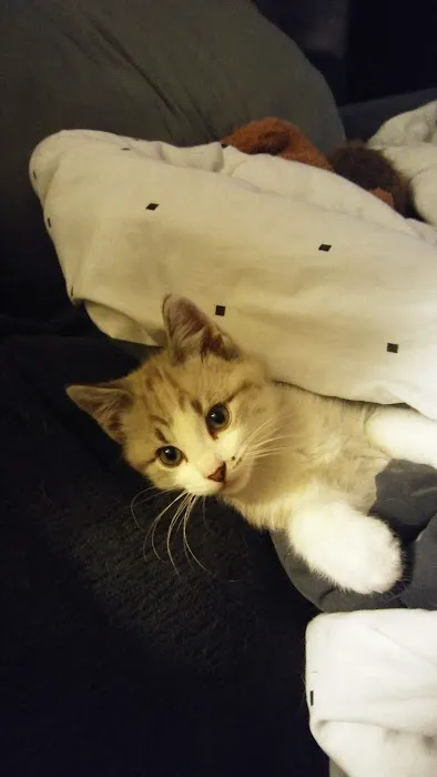 Terry Jacobs, DVM Picture 2