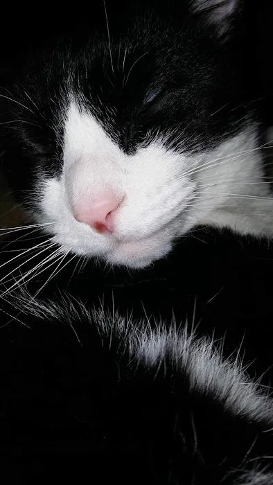 Terry Jacobs, DVM Picture 1