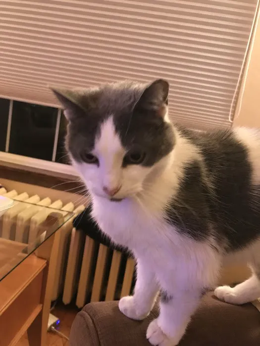 Park Pet Hospital Picture 1