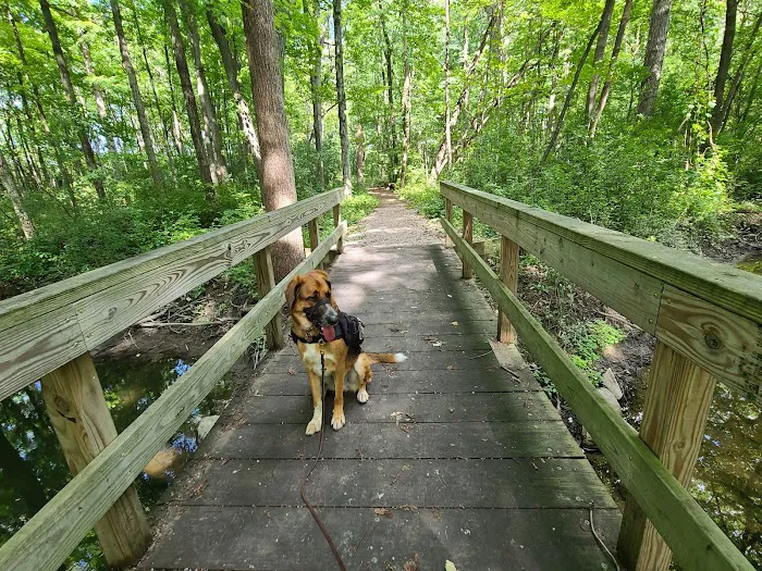 Park Pet Hospital Picture 3