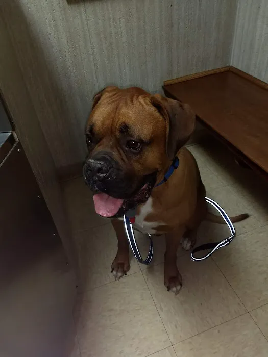 Park Pet Hospital Picture 5