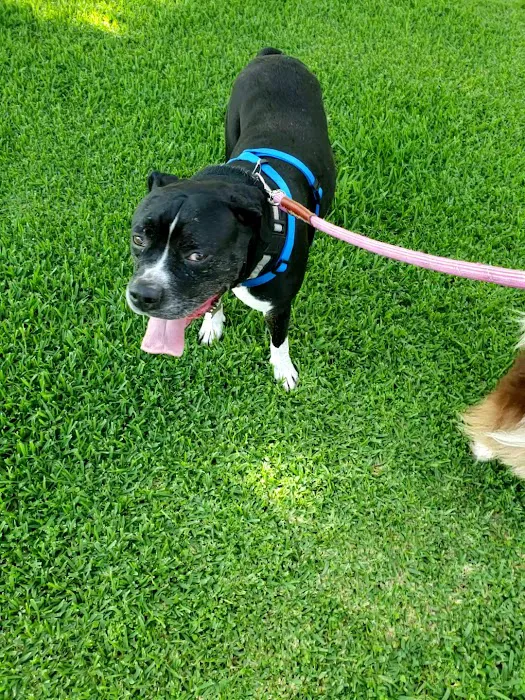 Animal Hospital of Mid County Picture 1