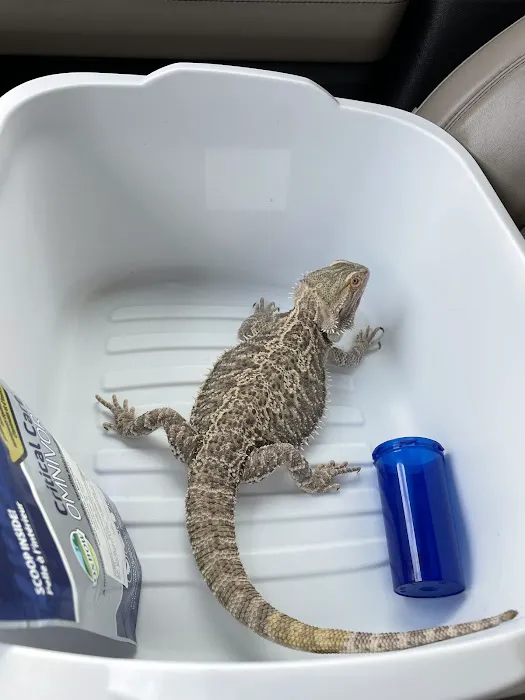 Animal Hospital of Mid County Picture 4