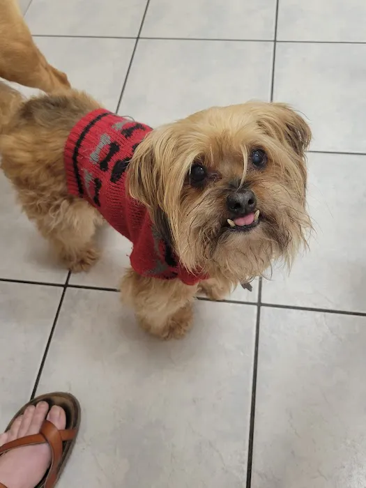 Animal Hospital of Mid County Picture 3