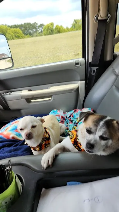 Animal Hospital of Mid County Picture 8