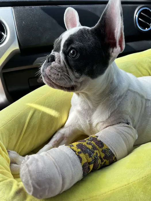 Neighborhood Veterinary Centers - Nederland Picture 5