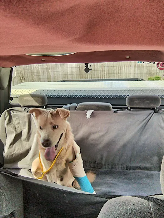 Neighborhood Veterinary Centers - Nederland Picture 6