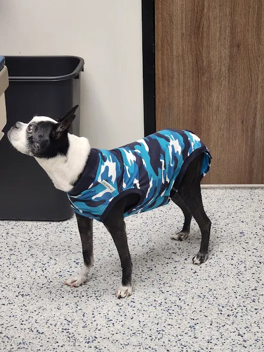 Neighborhood Veterinary Centers - Nederland Picture 8