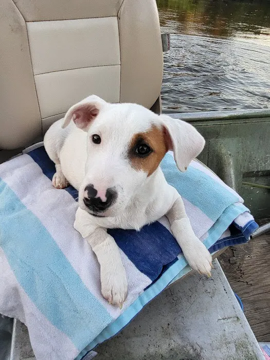 Neighborhood Veterinary Centers - Nederland Picture 9