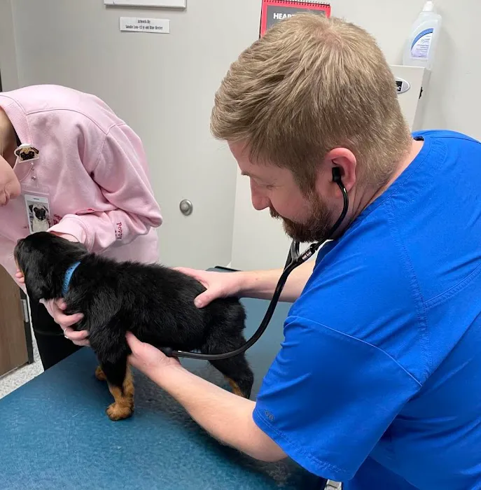 Neighborhood Veterinary Centers - Nederland Picture 10