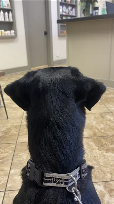 Twin City Veterinary Clinic Picture 1