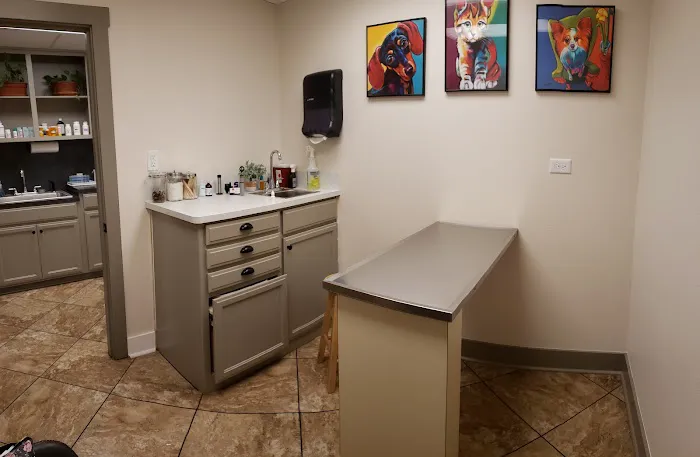 Twin City Veterinary Clinic Picture 4