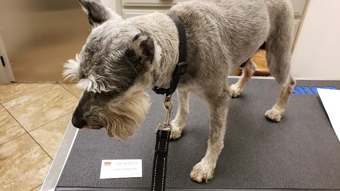 Twin City Veterinary Clinic Picture 3