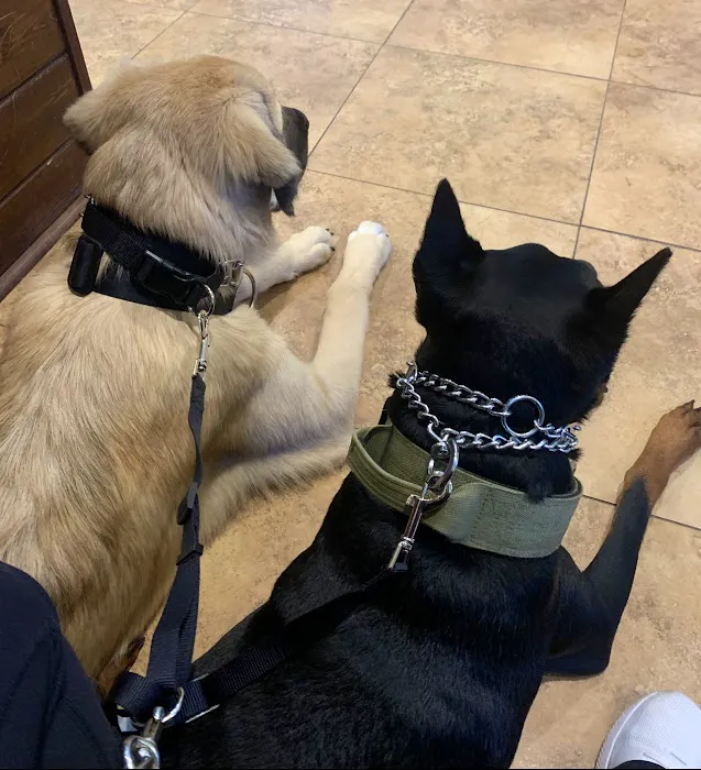 Twin City Veterinary Clinic Picture 5