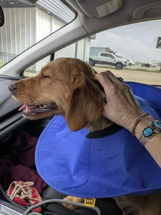 Twin City Veterinary Clinic Picture 10